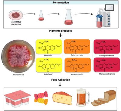 The potential, strategies, and challenges of Monascus pigment for food application